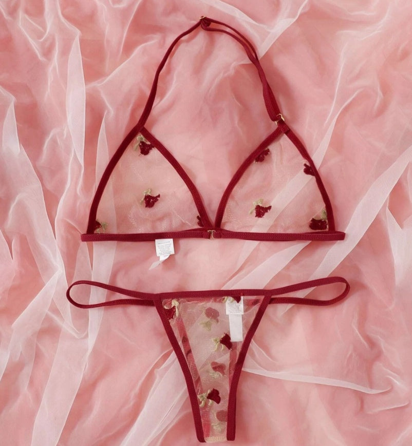Totally sheer bra and thong - playful bedroom wear