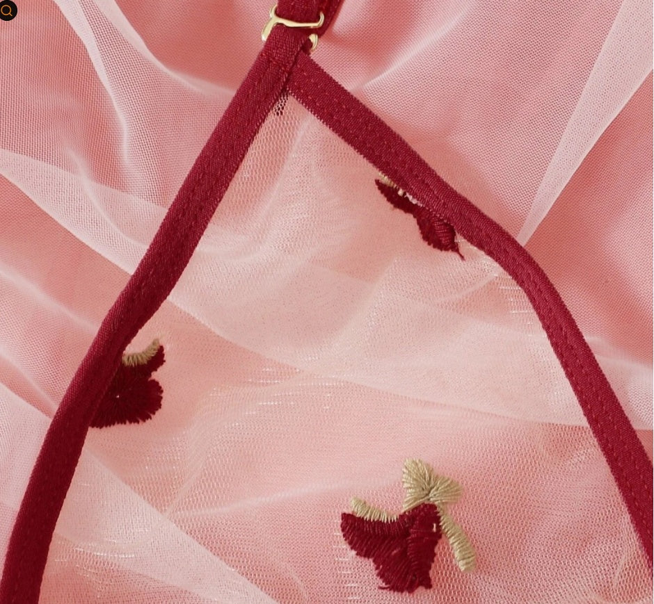 Totally sheer bra and thong - playful bedroom wear