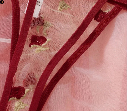 Sheer lingerie set - Reckless collection cute but revealing